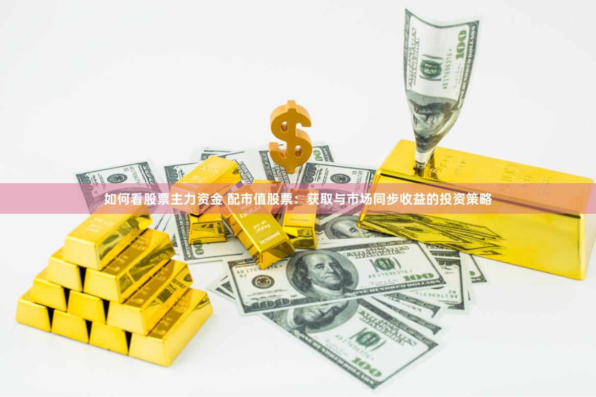 如何看股票主力资金 配市值股票：获取与市场同步收益的投资策略