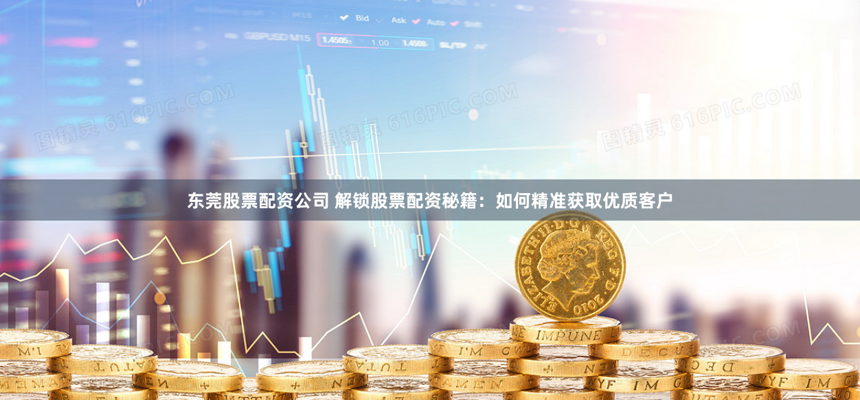 东莞股票配资公司 解锁股票配资秘籍：如何精准获取优质客户