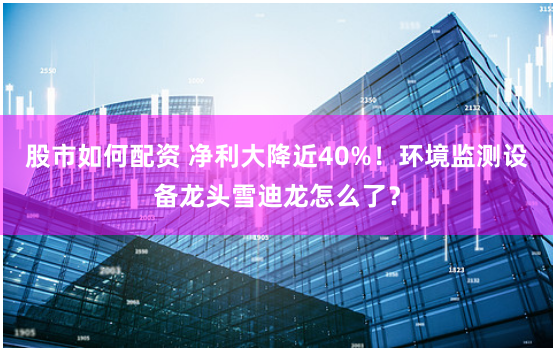 股市如何配资 净利大降近40%！环境监测设备龙头雪迪龙怎么了？