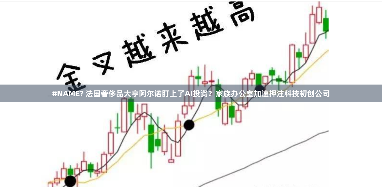 #NAME? 法国奢侈品大亨阿尔诺盯上了AI投资？家族办公室加速押注科技初创公司