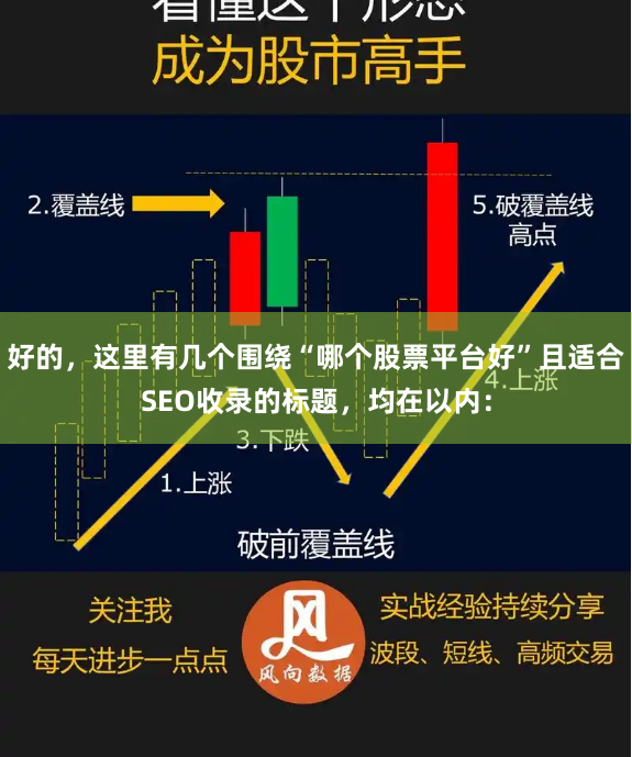 好的，这里有几个围绕“哪个股票平台好”且适合SEO收录的标题，均在以内：