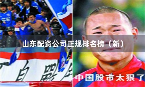 山东配资公司正规排名榜(新)